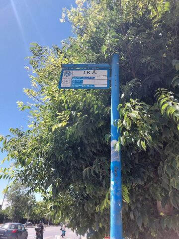 Φωτογραφία 3
