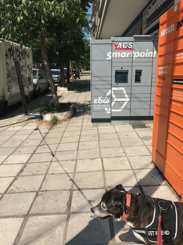 Φωτογραφία 4