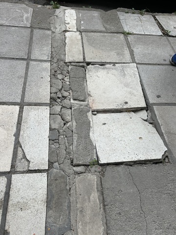 Φωτογραφία 3
