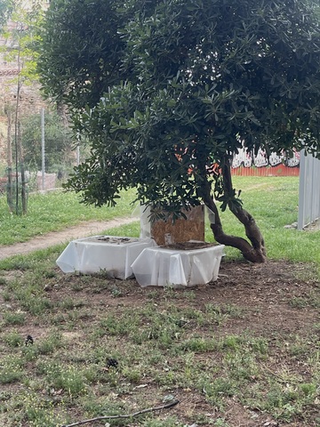 Φωτογραφία 2