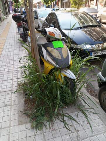 Φωτογραφία 3