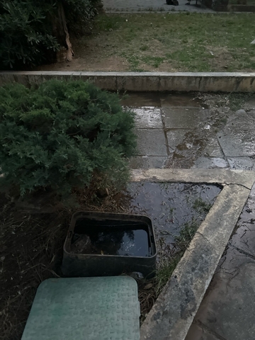 Φωτογραφία 2