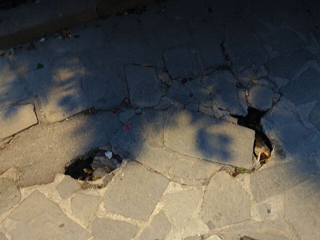 Φωτογραφία 3