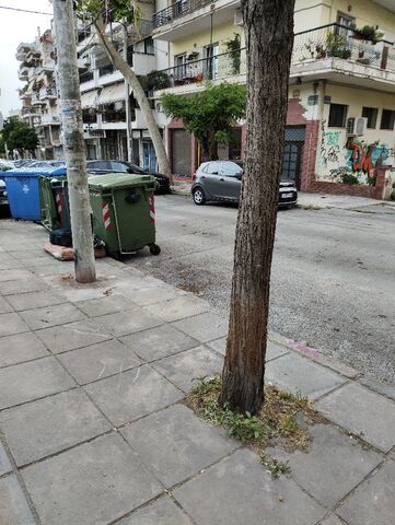 Φωτογραφία 2