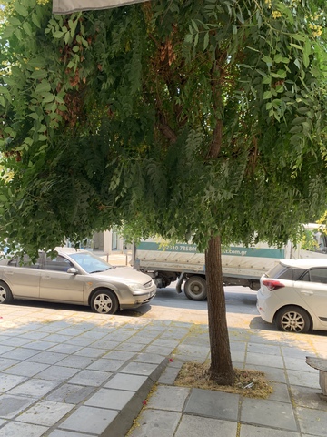 Φωτογραφία 2