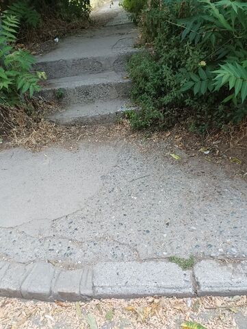 Φωτογραφία 4