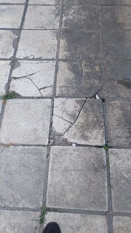 Φωτογραφία 4
