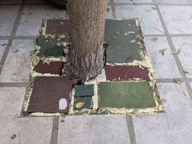 Φωτογραφία 2