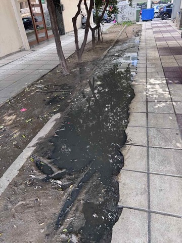 Φωτογραφία 2