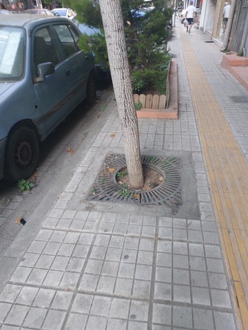 Φωτογραφία 3