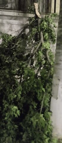Φωτογραφία 3