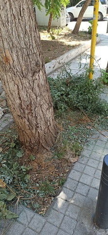 Φωτογραφία 2