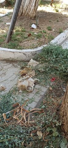 Φωτογραφία 3