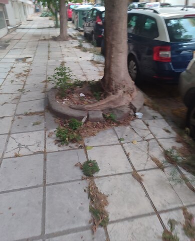 Φωτογραφία 2