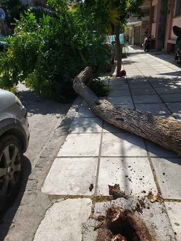 Φωτογραφία 3