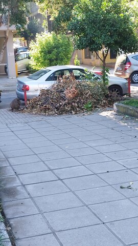 Φωτογραφία 2
