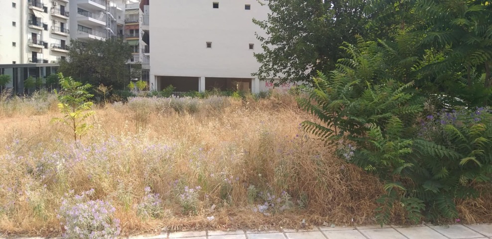 Φωτογραφία 4