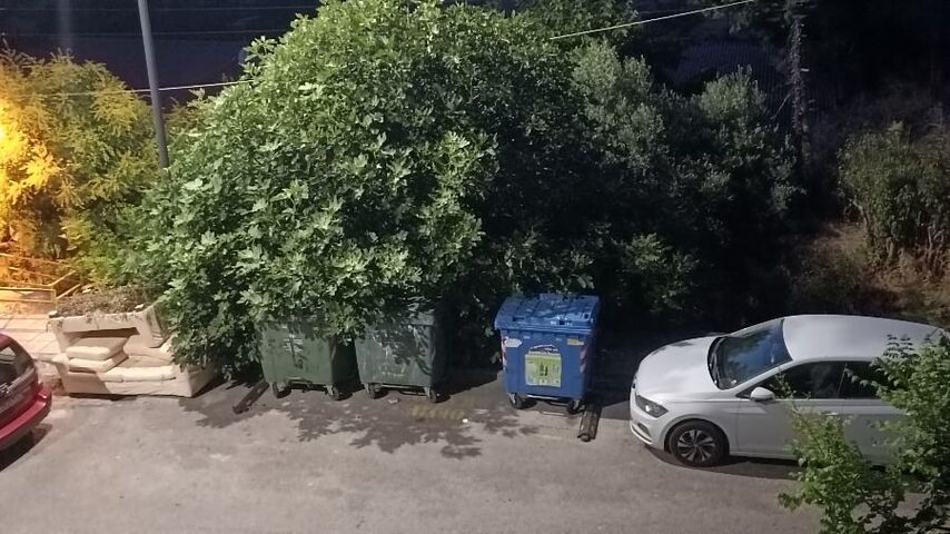 Φωτογραφία 2
