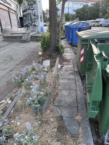Φωτογραφία 9