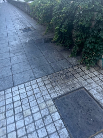 Φωτογραφία 2