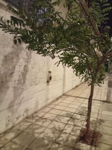 Φωτογραφία 2