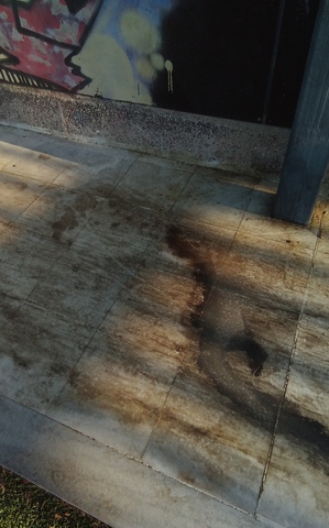 Φωτογραφία 2