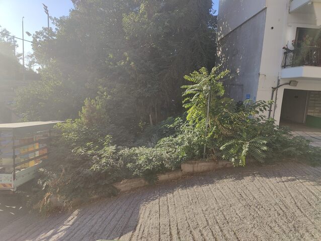 Φωτογραφία 2