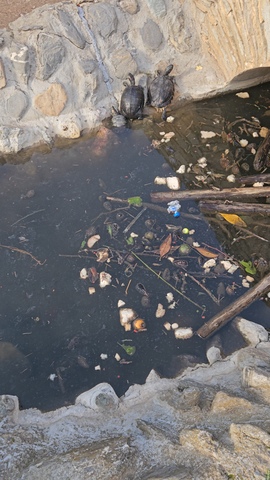 Φωτογραφία 2