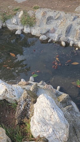 Φωτογραφία 3