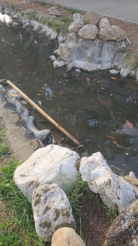 Φωτογραφία 4