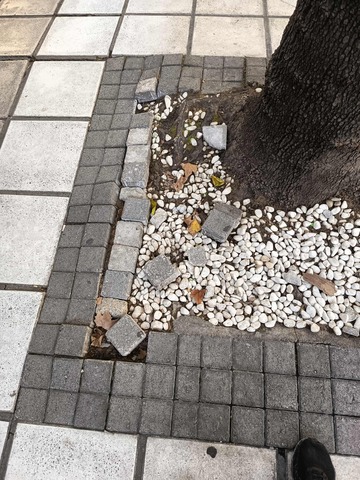 Φωτογραφία 2