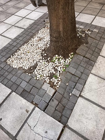 Φωτογραφία 3