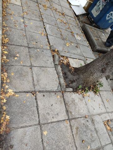 Φωτογραφία 2