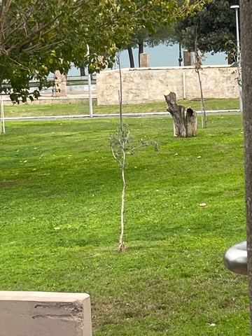 Φωτογραφία 2