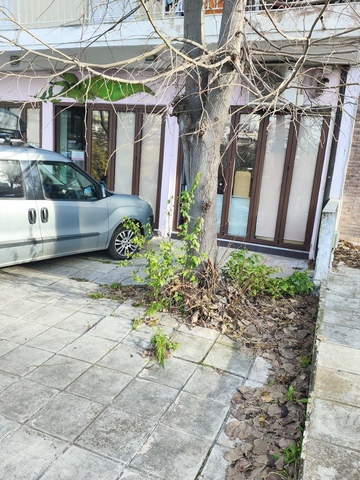 Φωτογραφία 2