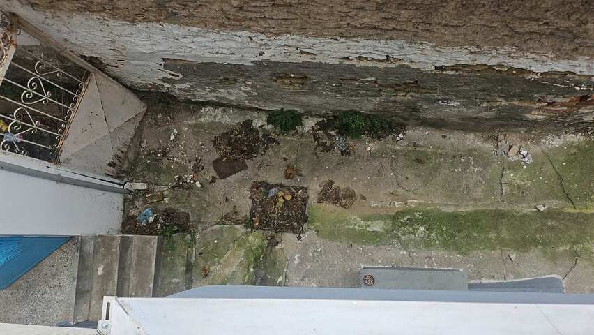 Φωτογραφία 3