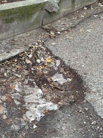 Φωτογραφία 2