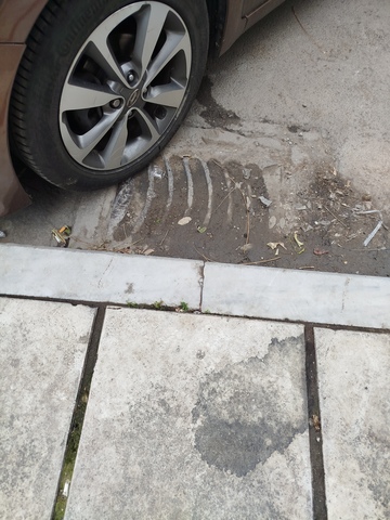 Φωτογραφία 2