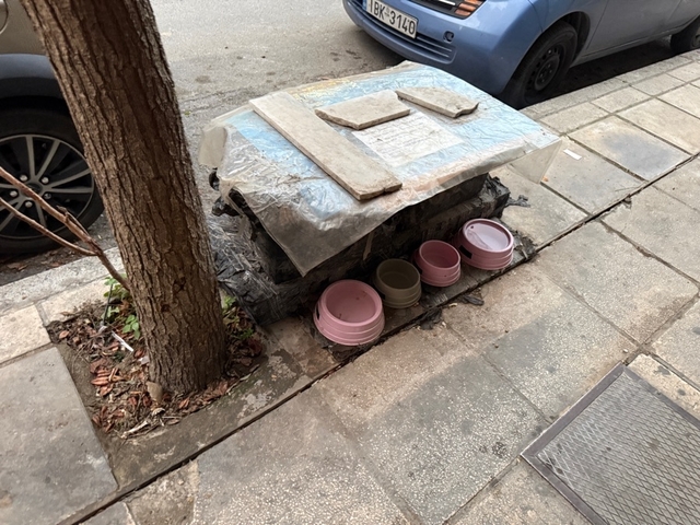 Φωτογραφία 2