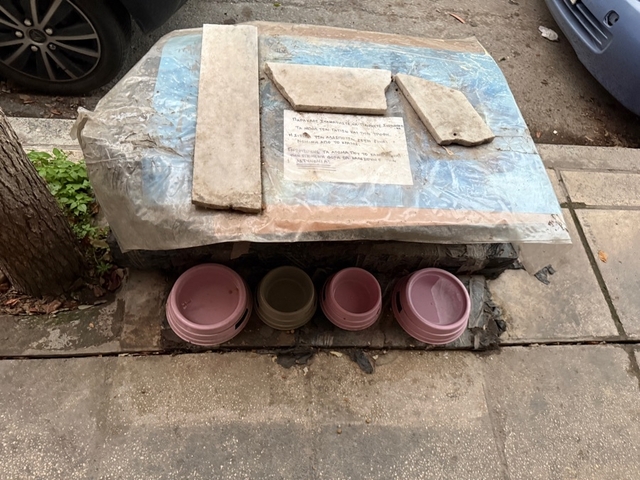 Φωτογραφία 3