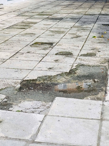 Φωτογραφία 2