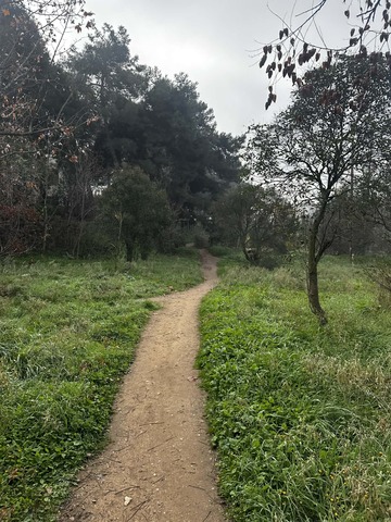 Φωτογραφία 2