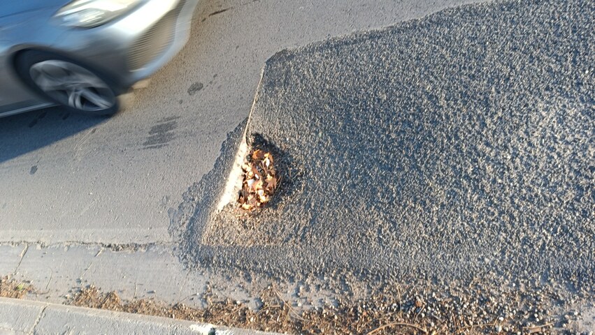 Φωτογραφία 4