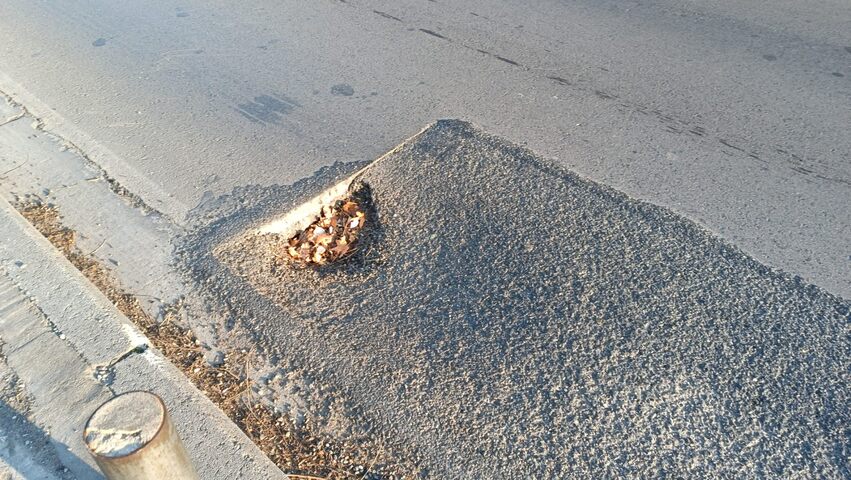 Φωτογραφία 5