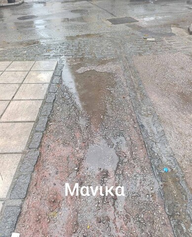 Φωτογραφία 3