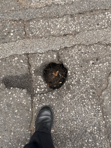 Φωτογραφία 2