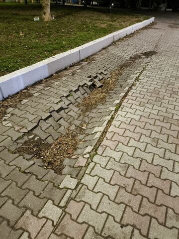 Φωτογραφία 2