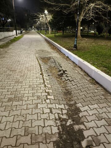 Φωτογραφία 3