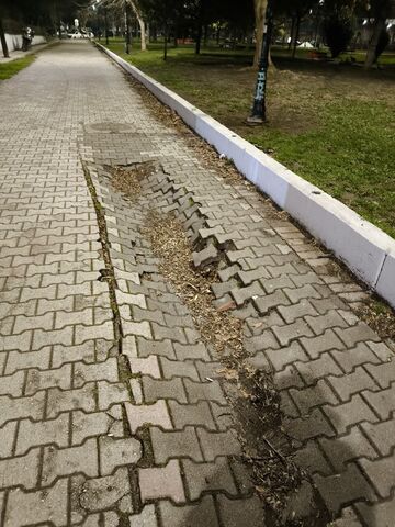 Φωτογραφία 4