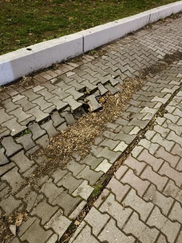 Φωτογραφία 5